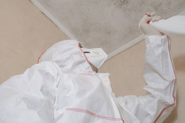 Reliable Andrews, TX Mold Prevention & Removal  Solutions